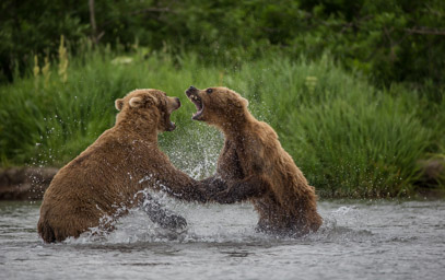 Kamchatka 2017